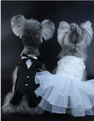 Pet Designer Wedding Dress