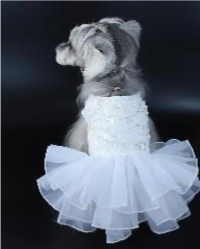 Pet Designer Wedding Dress