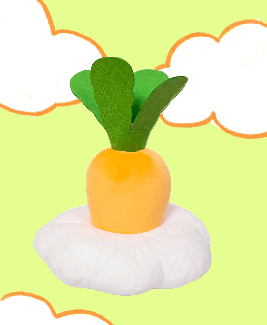 Carrot, Designer Pet Toys, Pawraki