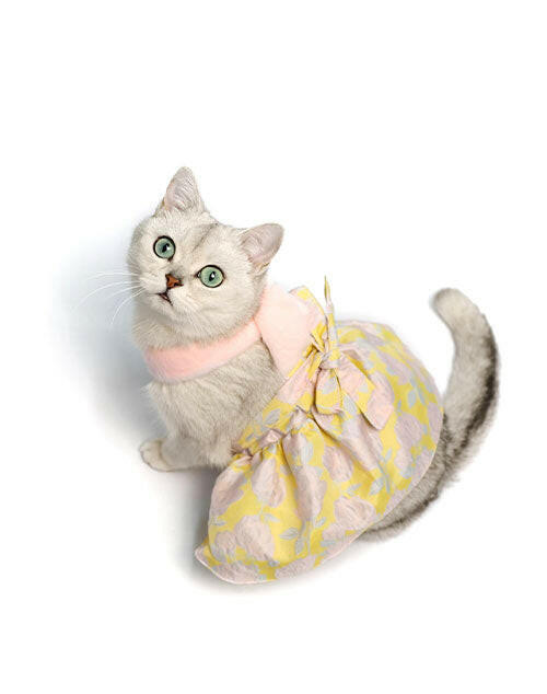 Eco-friendly fur pet dress