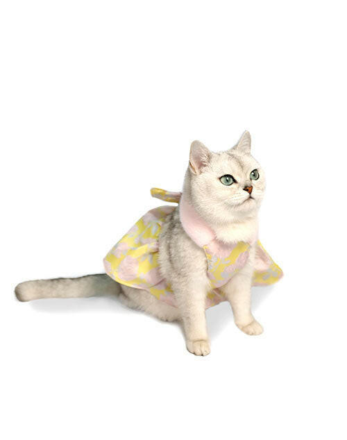 Eco-friendly fur pet dress