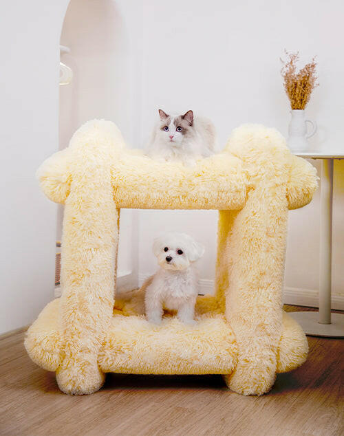 yellow pet cozy bed, climbing frame, and tunnel.