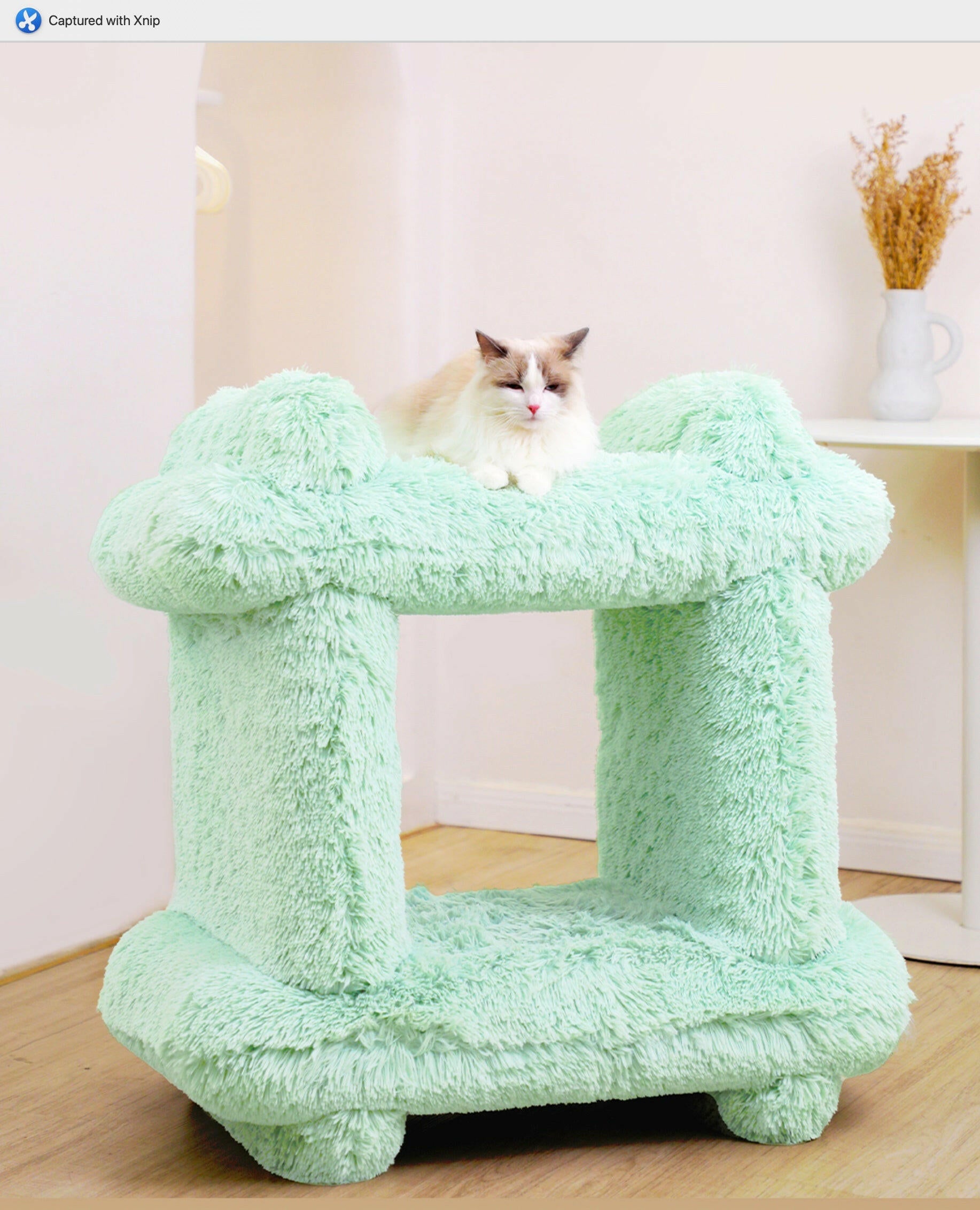 green pet cozy bed, climbing frame, and tunnel.