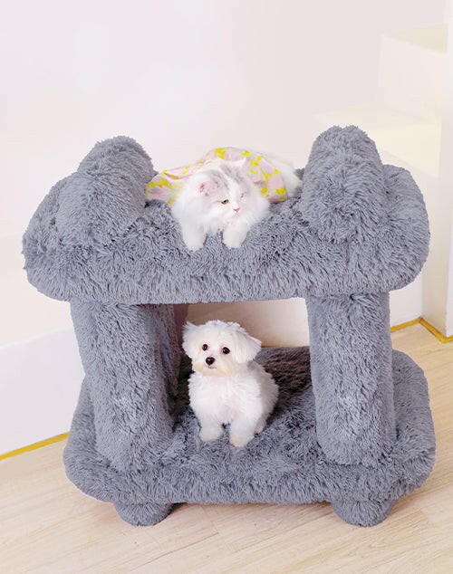 gray pet cozy bed, climbing frame, and tunnel.