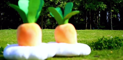 Interactive Carrot Pet Toy